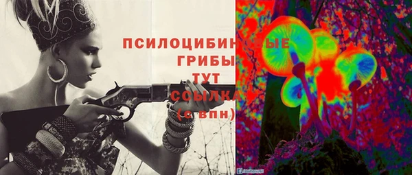 шишки Абинск