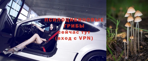 шишки Абинск