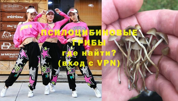 шишки Абинск